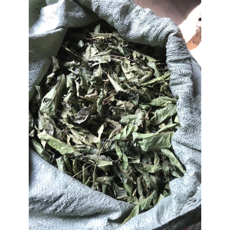 Xạ đen khô hoà bình, mát gan