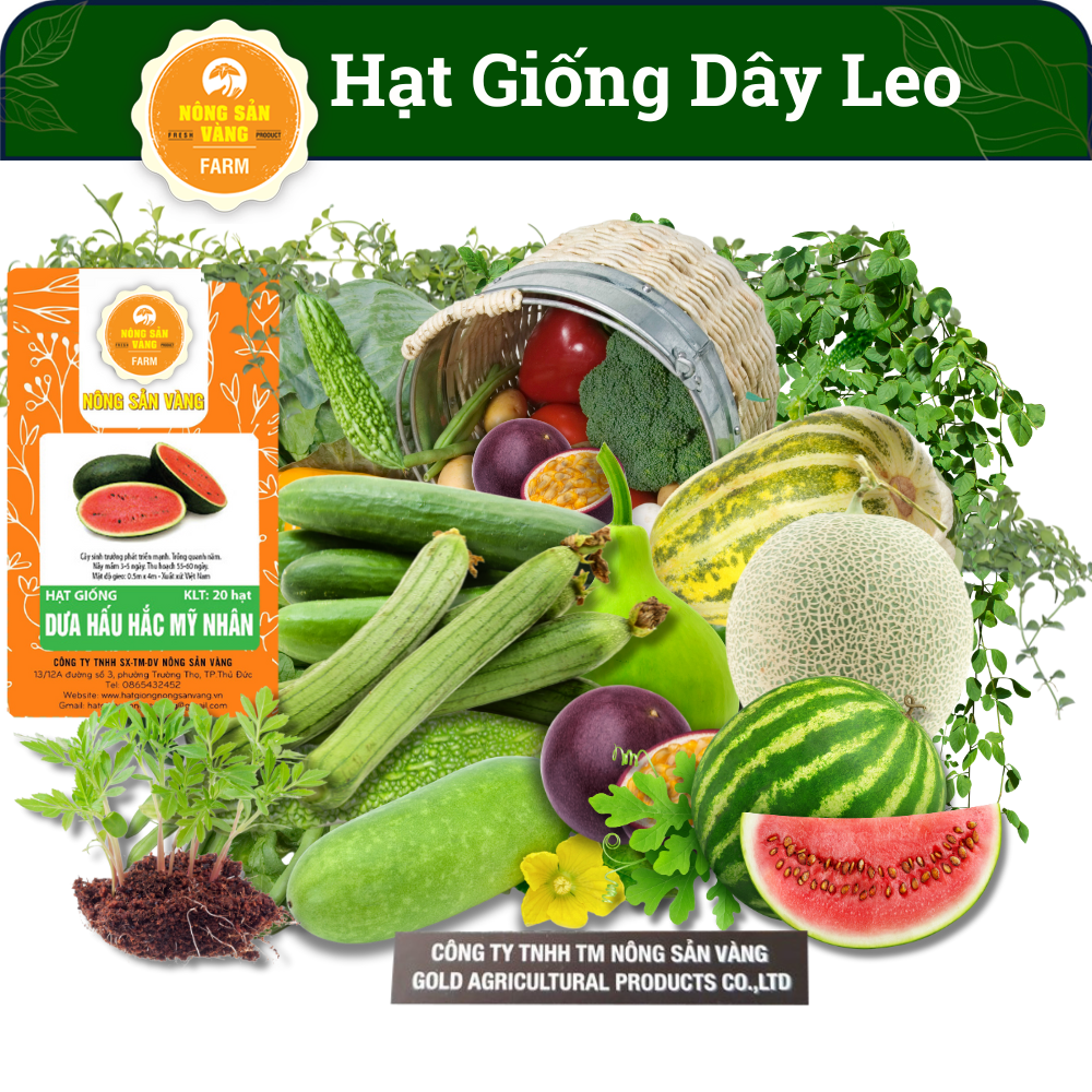 Tổng Hợp Các Loại Hạt giống Dây Leo, La Gim, Dễ Trồng, Nảy Mầm Cao, Năng Suất Cao - Nông Sản Vàng