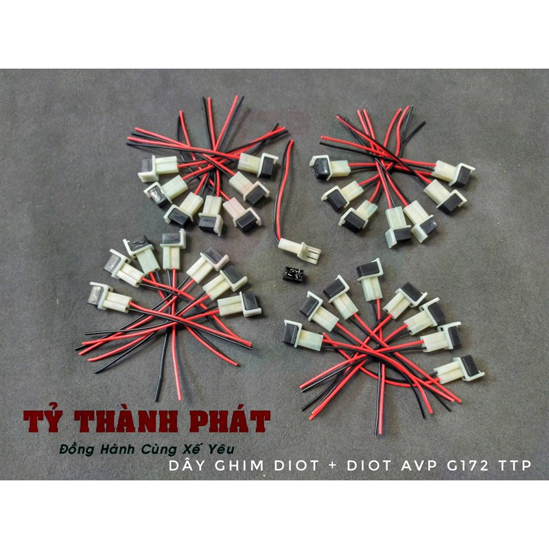 Dây ghim Diot + Diot AVP G172