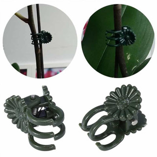 Kẹp bướm dùng để cố định, kẹp cành hoa lan, cành cây