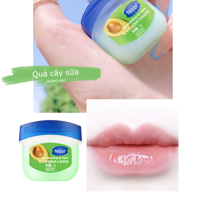 Dưỡng môi VASELINE 7g dạng hũ  cho  đủ vị
