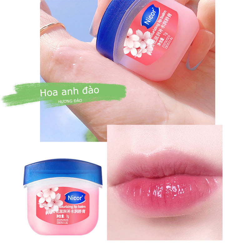Dưỡng môi VASELINE 7g dạng hũ  cho  đủ vị