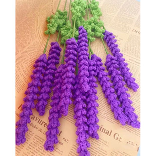 Hoa Lavender oải hương len