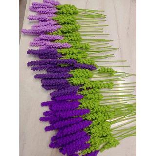 Hoa Lavender oải hương len