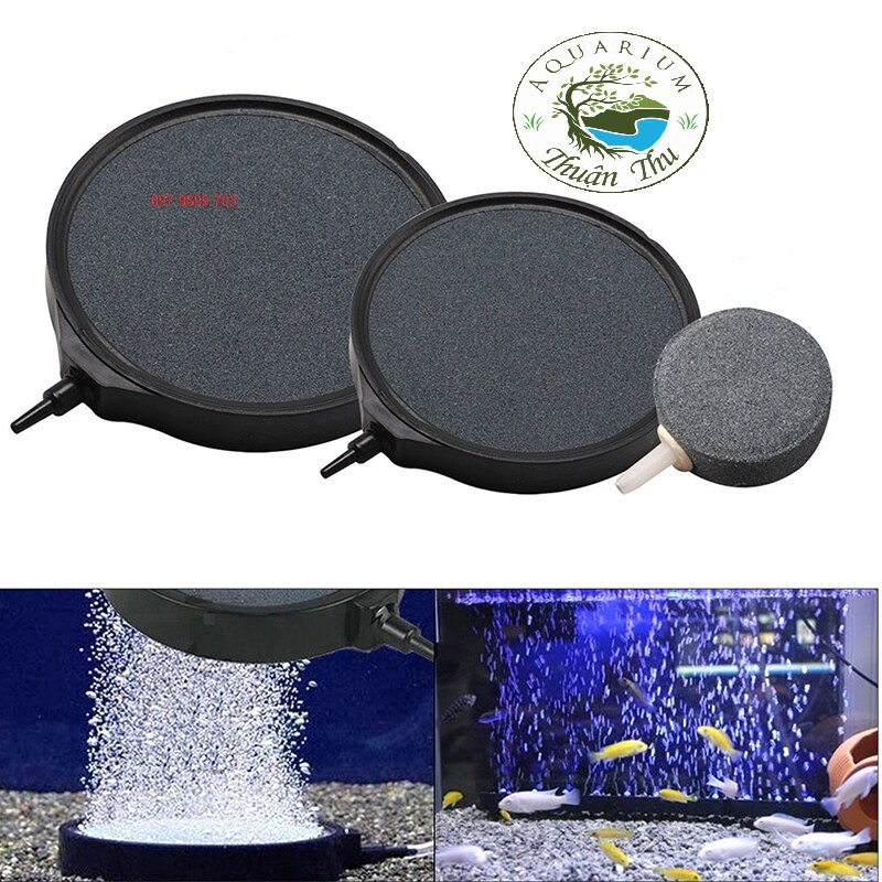 Đĩa sủi oxy cho hồ cá, hồ thủy sinh