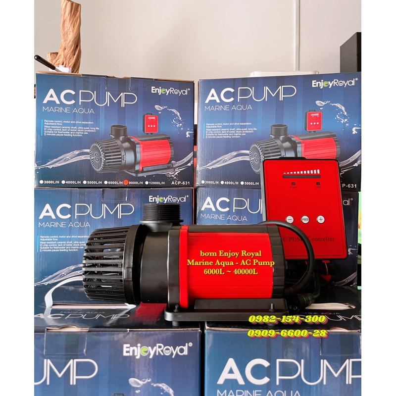 MÁY BƠM SUNSUN CHỐNG GIẬT 💥 JDP-6000 💥 JDP-10000 💥 JDP-18000 | BƠM ENJOY ROYAL MARINE AQUA
