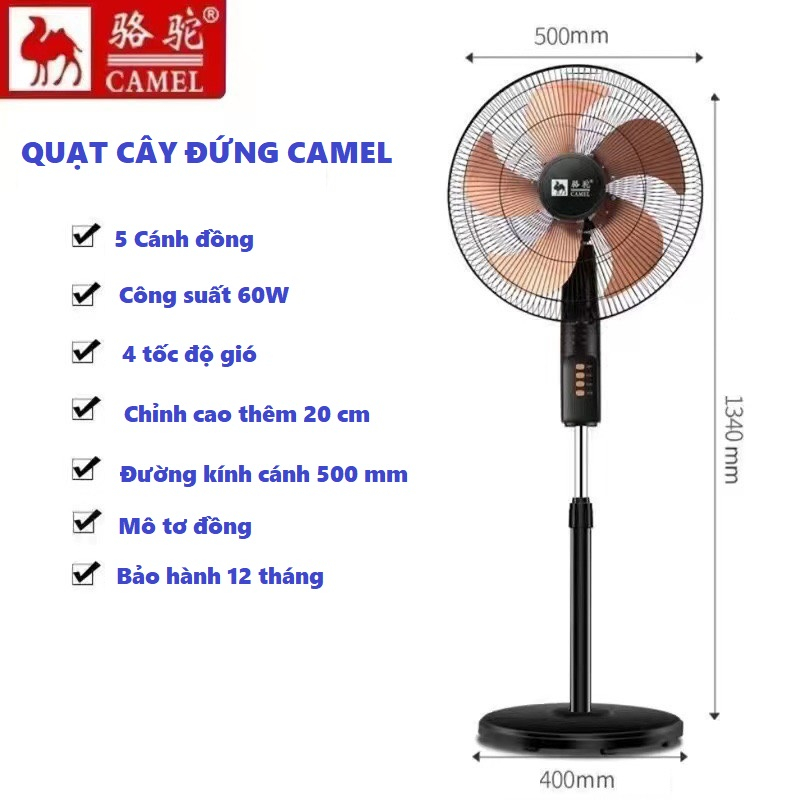 QUẠT CAMEL 5 CÁNH NHỰA FS-40 VÀ 5 CÁNH ĐỒNG FS-45 BẢO HÀNH 12 THÁNG