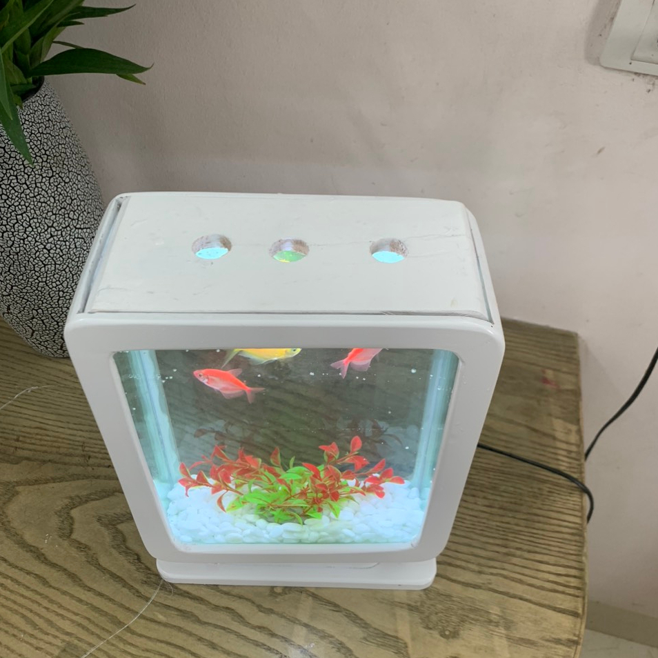 Bể cá mini để bàn giá rẻ _bao khung gỗ_kiểu dáng hiện đại_31x23x11