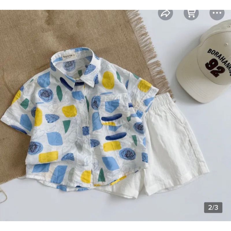 Sét bộ đũi bé trai hoa lá cành cao cấp đi biển, du lịch