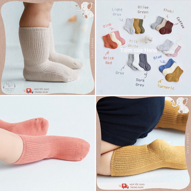 🅷.🄴🅅🄰🄽 Set tất 3 màu style HQ cho bé trai bé gái, kiểu basic, chất cotton mềm mát thoáng khí.