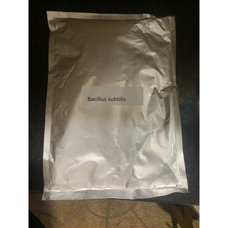Bacillus subtilis - kháng khuẩn, ức chế sự phát triển của vi khuẩn gây bệnh và kíchthích miễn dịch thực vật