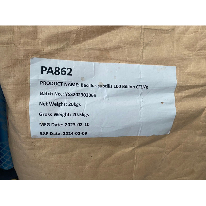 Lẻ 1kg Bacillus Subtilis Nguyên Liệu - hàm lượng 100 tỷ/gram
