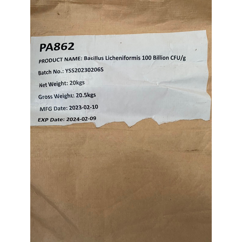 Lẻ 1kg Bacillus Lichenformis hàm lượng 100 tỷ /gram