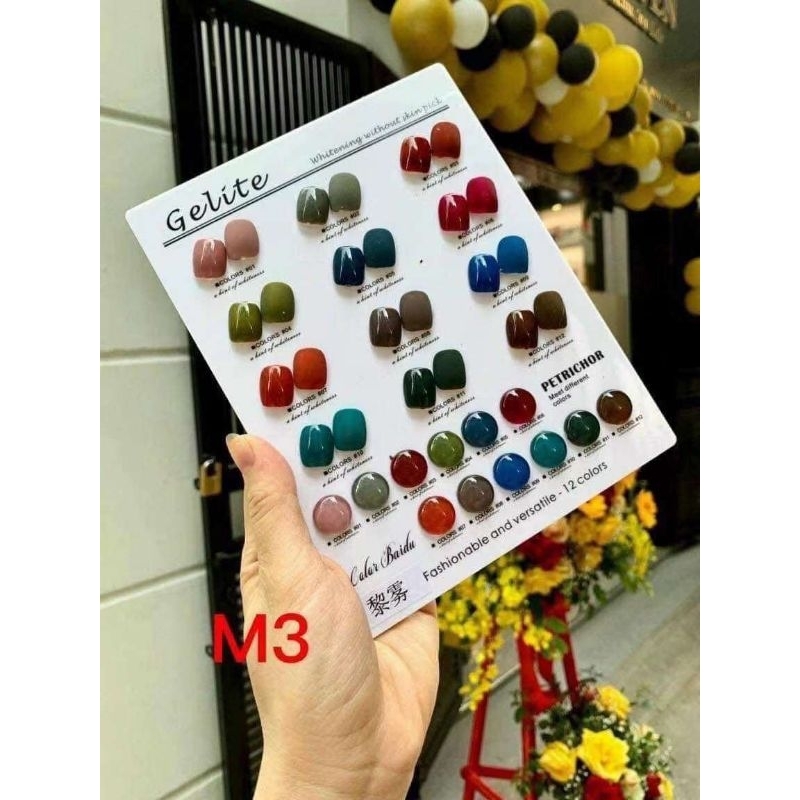 Sét sơn gel Gelite 12 chai tặng bảng màu như hình