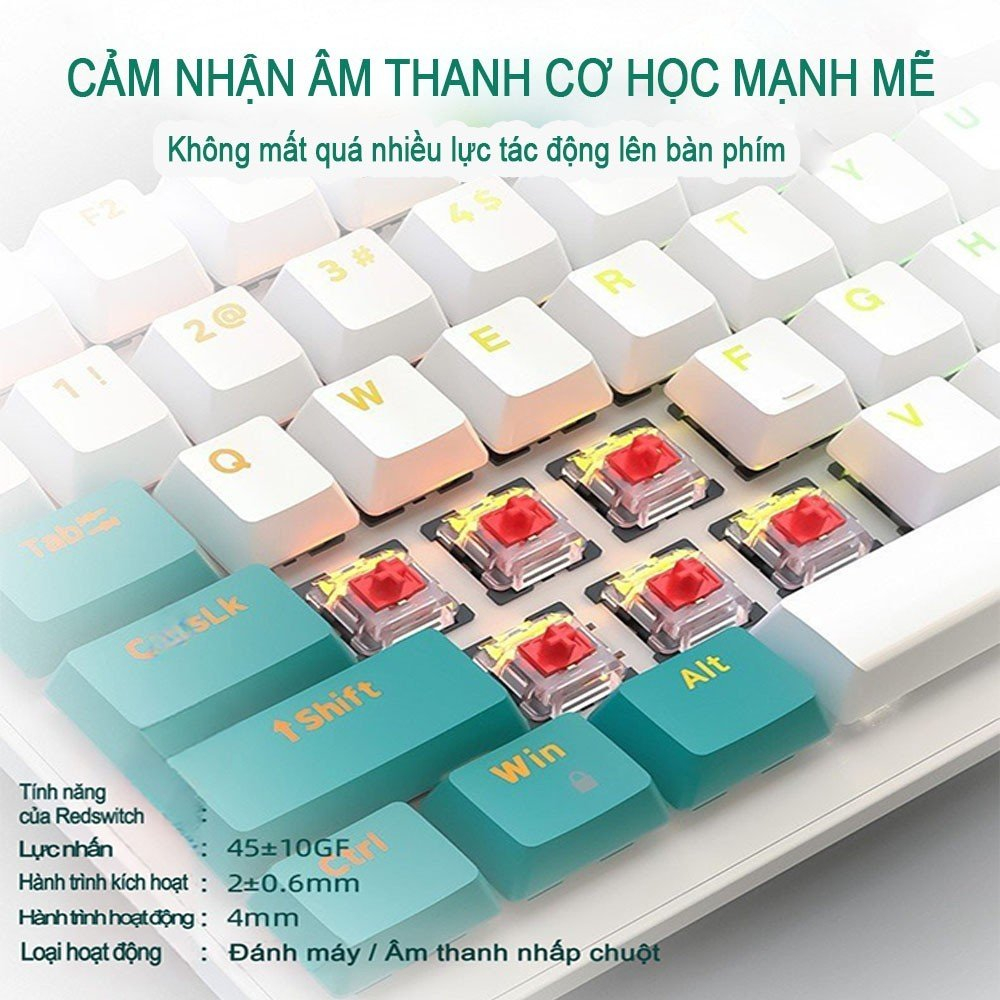 [Bàn Phím Cơ ZIYOU K3] Kết nối có dây - 3 màu - 10 chế độ nháy đèn | BigBuy360 - bigbuy360.vn