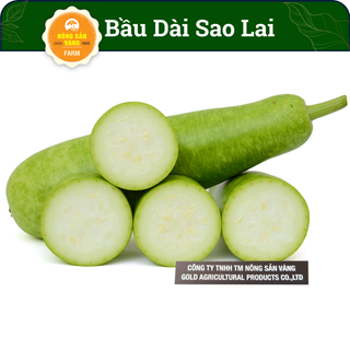 Hạt giống bầu dài bầu sao lai f1, trái dài - nông sản vàng
