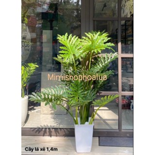 Cây Giả Trang Trí-Cây Lá Rùa - Trầu Bà Lá Xẻ - trầu bà thanh xuân mẫu mới giống thật, trang trí nhà cửa.