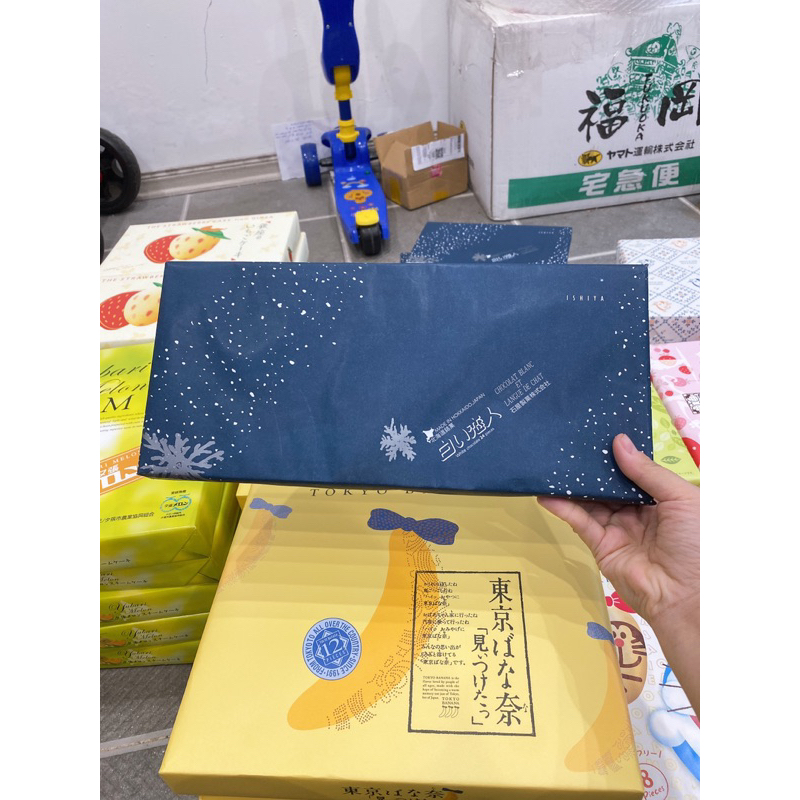 Bánh shiroi koibito 24 chiếc