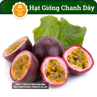 Hạt giống chanh dây, trái cây nhiệt đới, giàu dinh dưỡng, chế biến thành nước giải khát - nông sản vàng