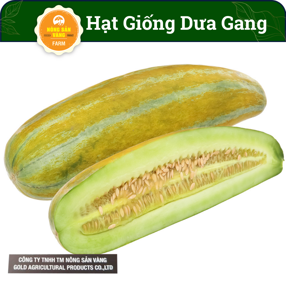 [HCM] Hạt Giống Dưa Gang Nảy Mầm Cao, Dễ Chăm Sóc, Giàu Giá Trị Dinh Dưỡng(Gói 50 Hạt) - Nông Sản Vàng