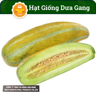 Hạt giống dưa gang nảy mầm cao, dễ chăm sóc, giàu giá trị dinh dưỡng - nông sản vàng