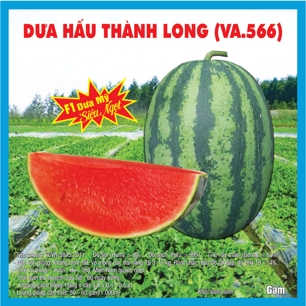 Dưa hấu lai F1 Thành Long VA.566 20 gam