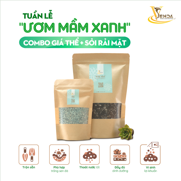 Combo Đất trồng Sen Đá và sỏi rãi mặt_Loại đất chuyên dụng trồng sen đá, xương rồng