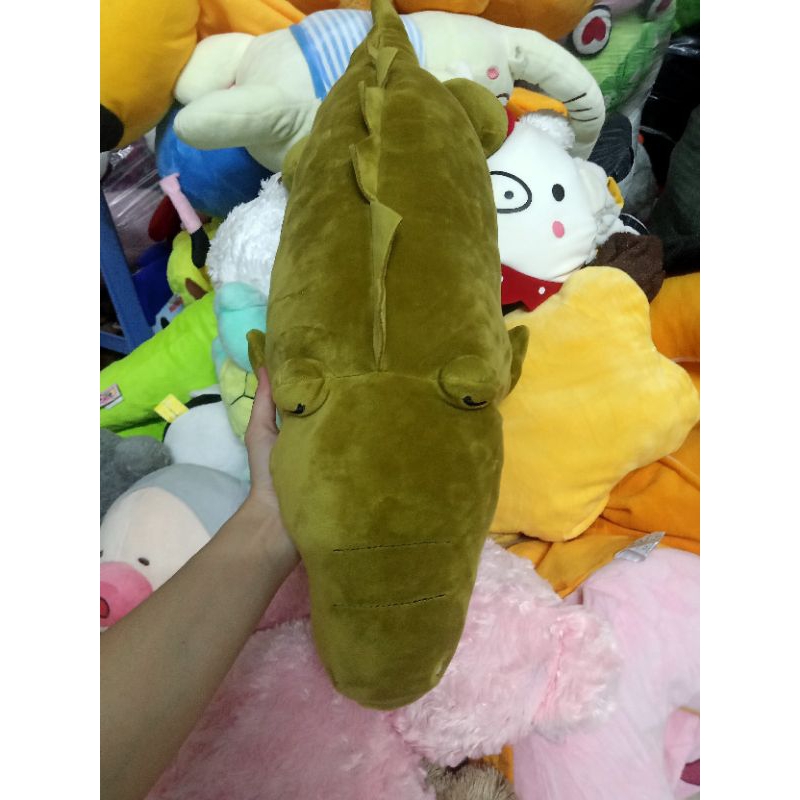 Gấu bông cá sấu miniso size 50-60cm