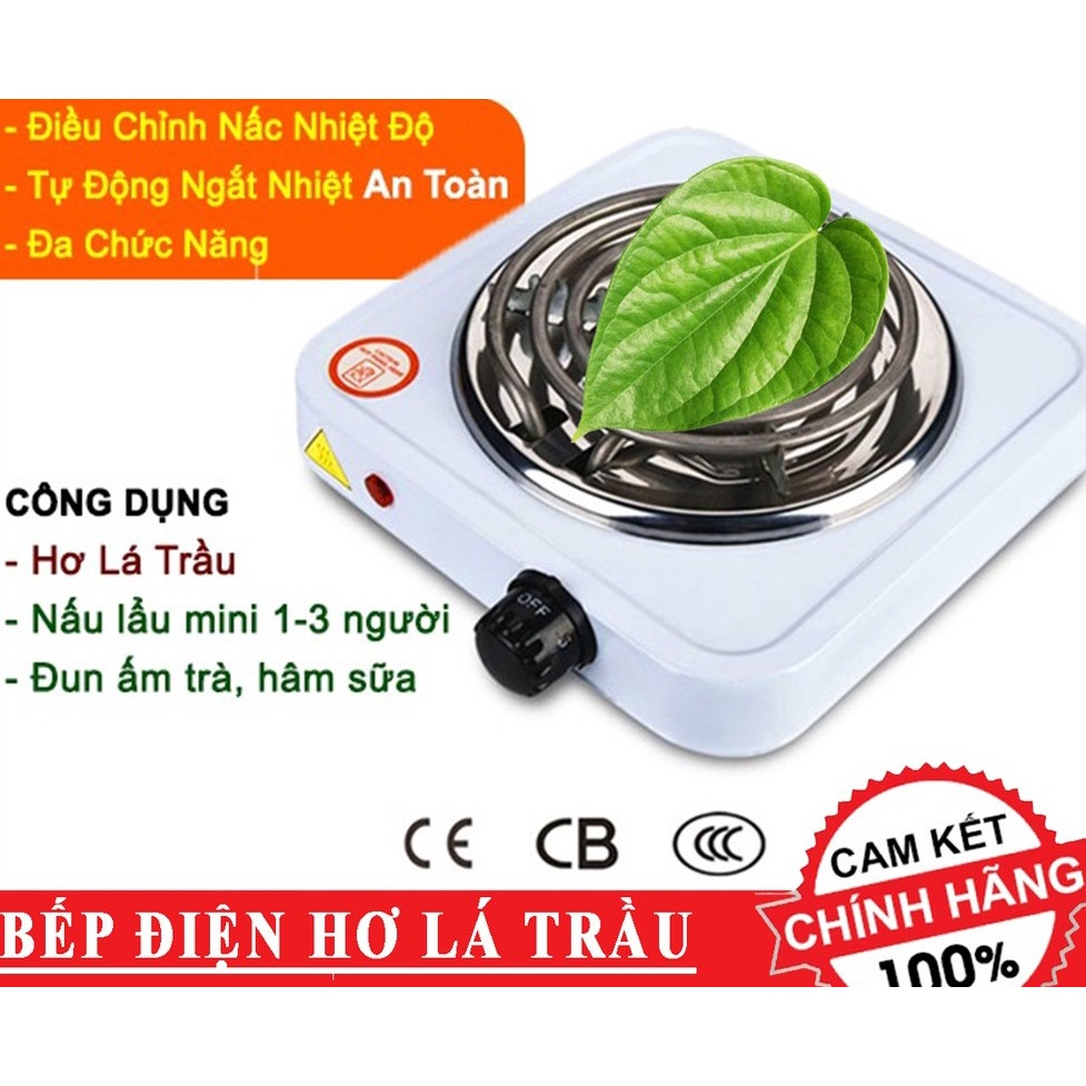 Bếp Hơ Lá Trầu Cho Bé, Bếp Hơ Sau Sinh Cho Mẹ, Bếp Điện Mini 1000W