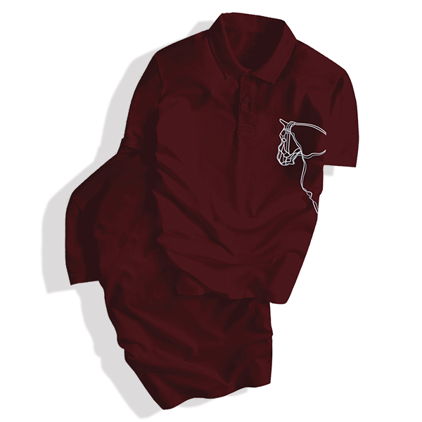 Áo Thun Polo Nam Ngựa Chiến cổ bẻ vải Cá Sấu Cotton cao cấp chuẩn form