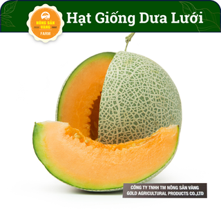 Hạt giống Dưa Lưới Ruột Vàng,Tỉ Lệ Nảy Mầm Cao, Sinh Trưởng, Phát Triển Khỏe, Năng Suất Cao (Gói 20 hạt) - Nông Sản Vàng