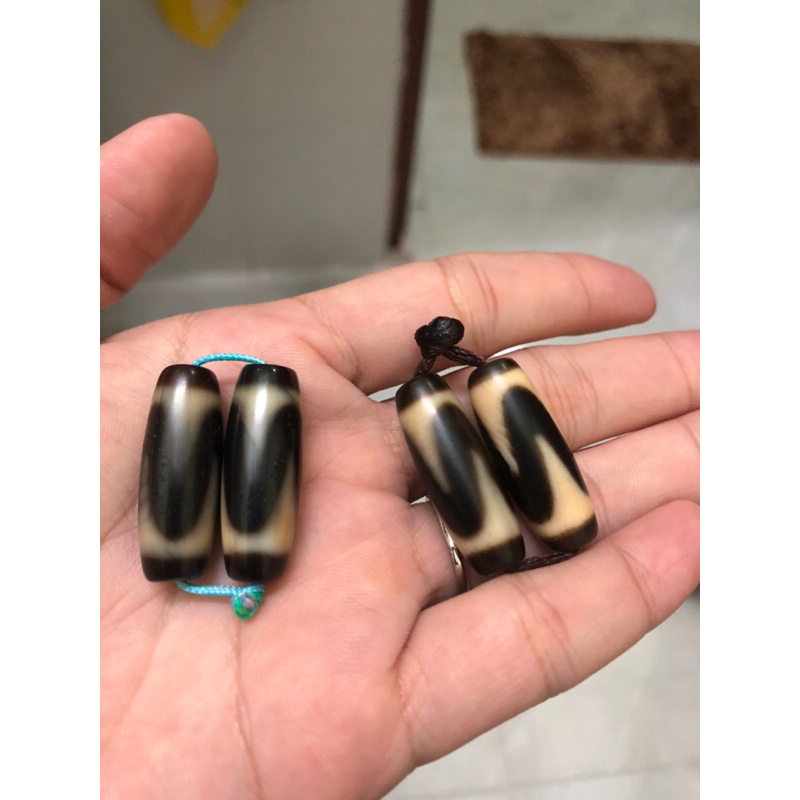 Thiên Châu - Dzi Nanh Cọp