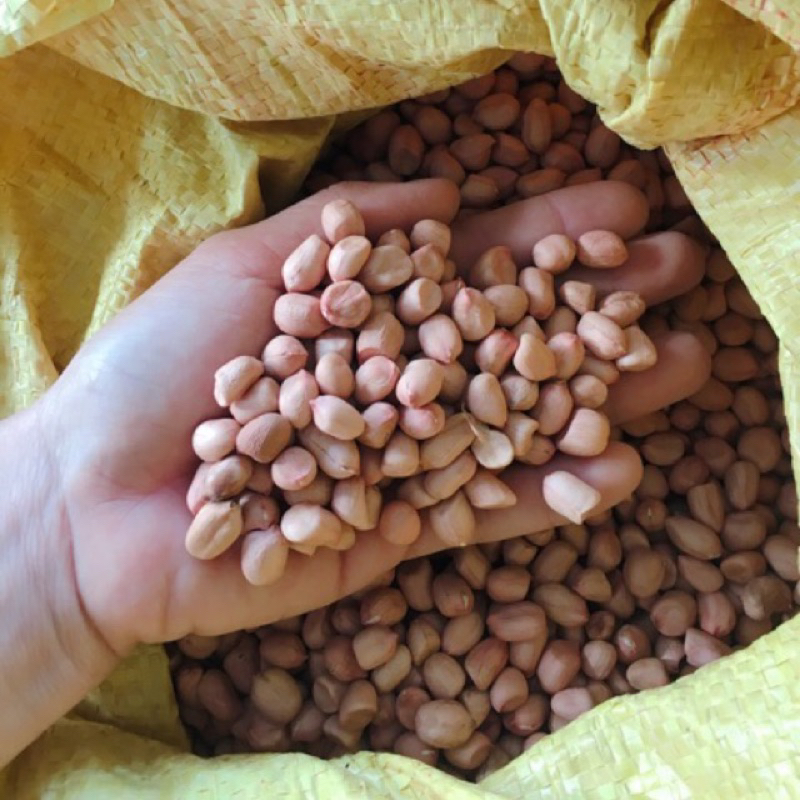 đậu phộng / đỗ phộng / lạc