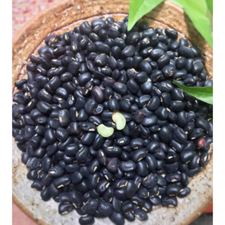 Đậu đen xanh lòng 0,5kg