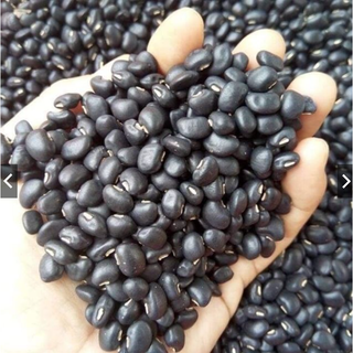 Đậu đen xanh lòng 0,5kg