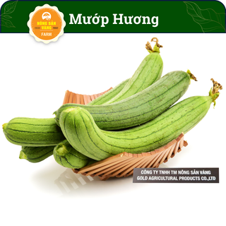 Hạt giống Mướp Hương- Trái thơm, ngọt năng suất cao ( Gói 10 hạt ) - Nông Sản Vàng
