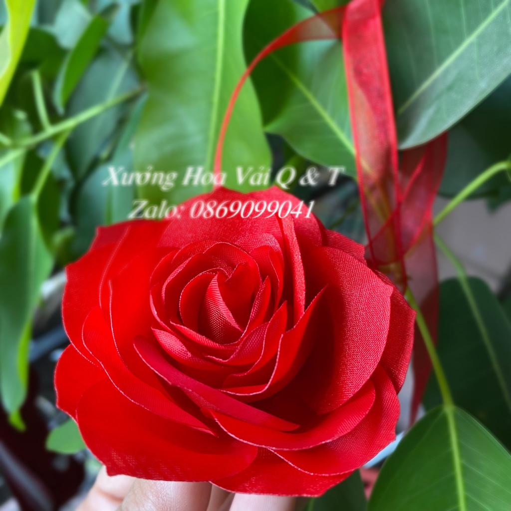 🌸 Choker Dây HOA Đeo Cổ 150🌸