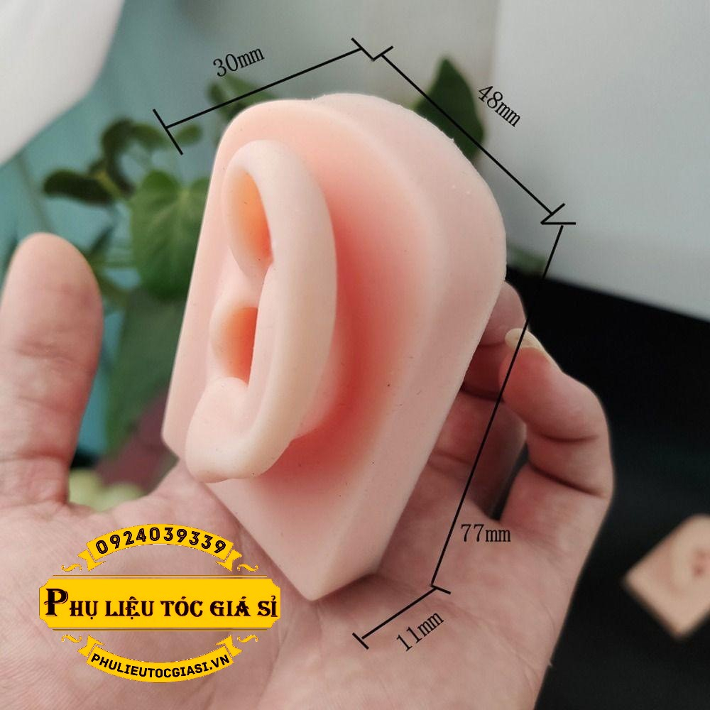 Tai Giả Silicon Học Ráy Tai và Trưng Bày Sản Phẩm