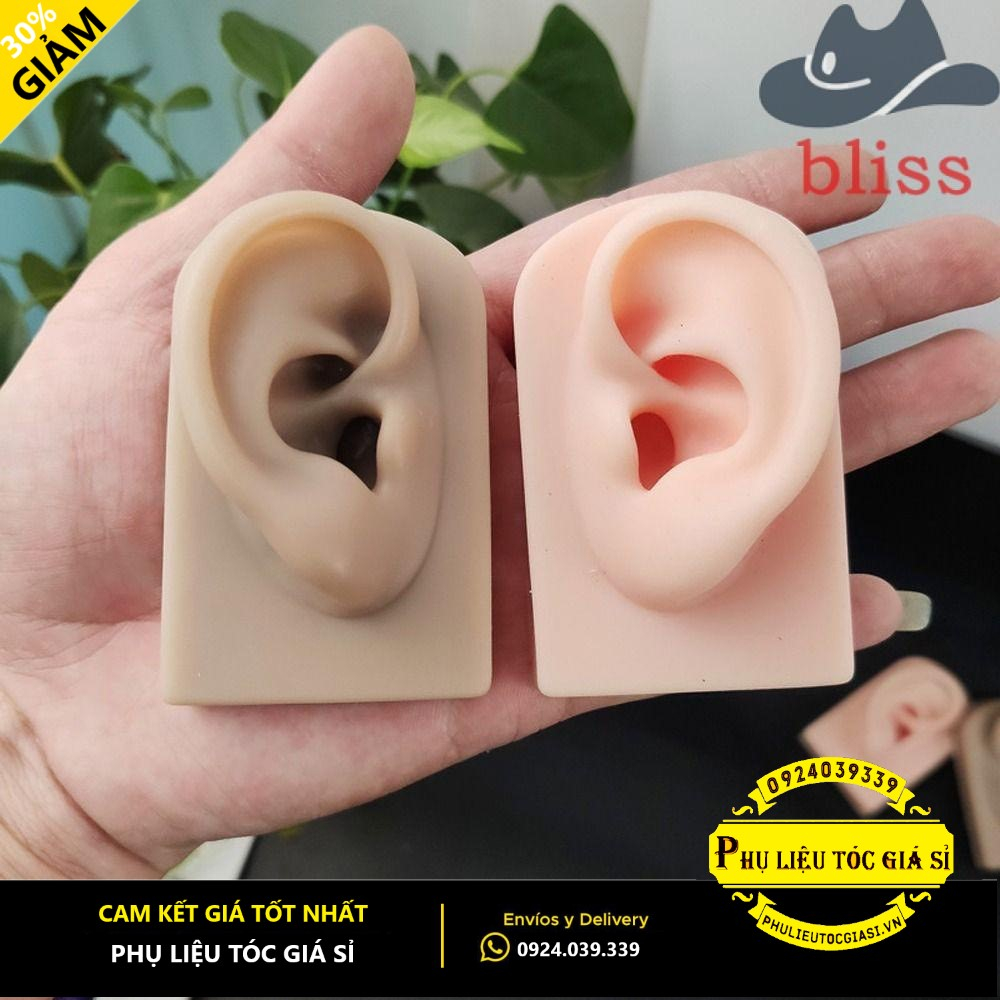 Tai Giả Silicon Học Ráy Tai và Trưng Bày Sản Phẩm