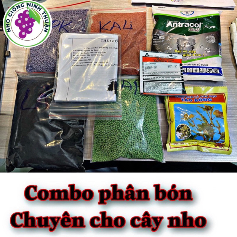 PHÂN BÓN CHUYÊN CHO CÂY NHO
