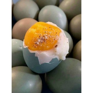10 trứng chim trĩ tốt cho mẹ bầu và trẻ nhỏ