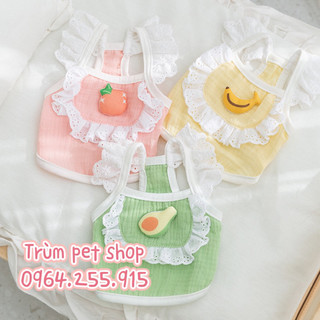 Áo trái cây cute cho thú cưng