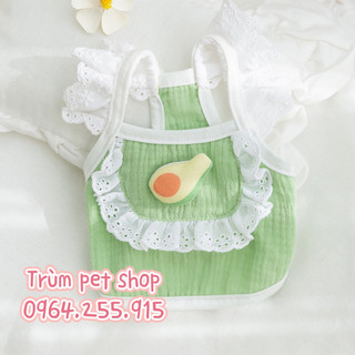 áo trái cây cute cho thú cưng