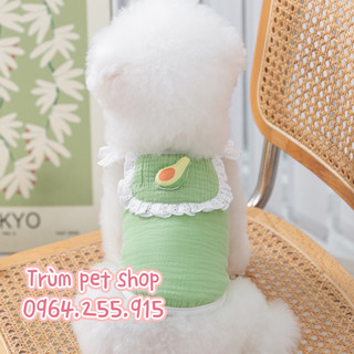 áo trái cây cute cho thú cưng
