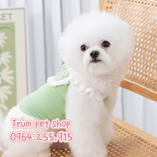 áo trái cây cute cho thú cưng