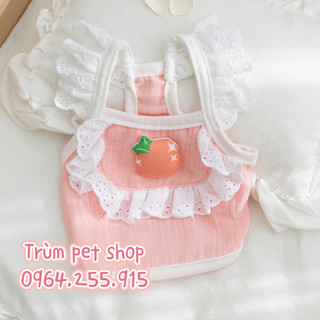 áo trái cây cute cho thú cưng