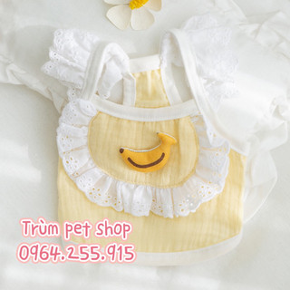 áo trái cây cute cho thú cưng