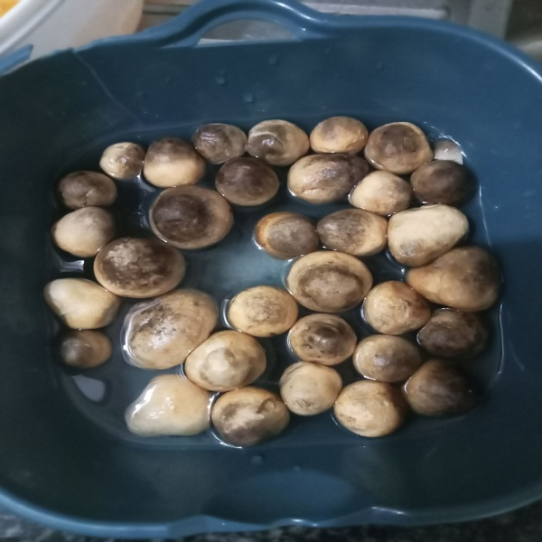 Nấm Rơm Nguyên Búp Sấy Khô  500g