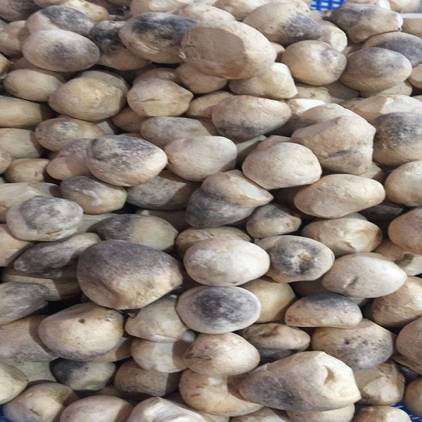 Nấm Rơm Nguyên Búp Sấy Khô  500g