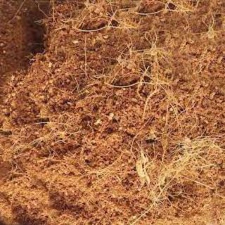 2kg Xơ dừa, mùn dừa, giá thể trồng cây chưa xử lý giá rẻ